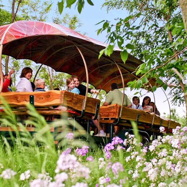 A group of people seated under a large, colorful canopy atop a wooden wagon, surrounded by lush greenery and blooming flowers.