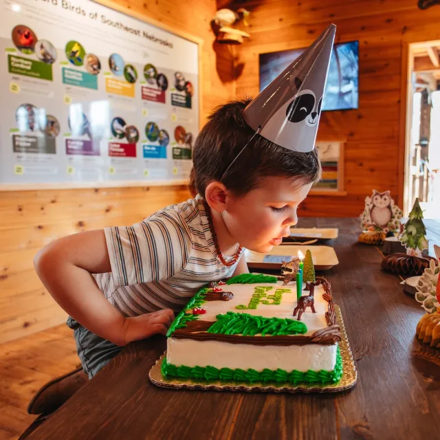 A child in a party hat leans over a colorful birthday cake decorated with greenery, animals, and a lit candle in a cozy wooden setting.