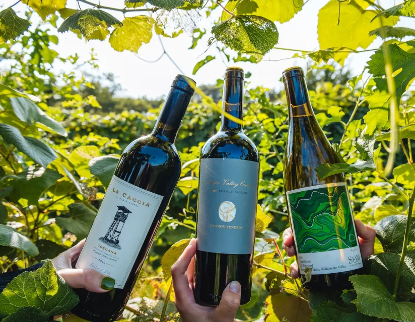 Three wine bottles held among vibrant green vineyard leaves: La Caccia, Gagnon Kennedy, and Som Chardonnay from 2021.