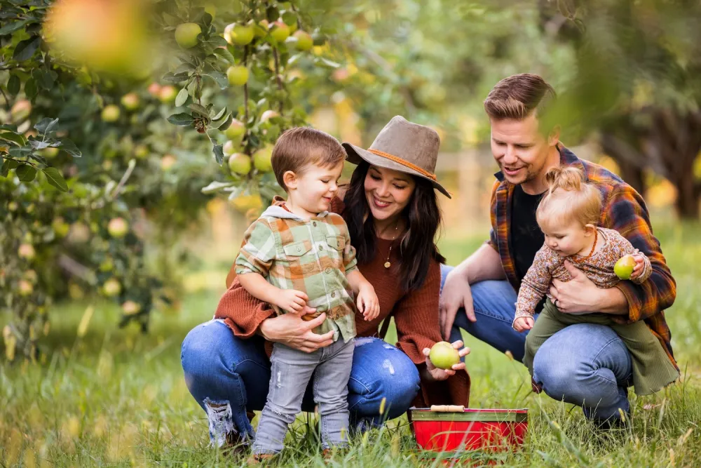 A family with two young children enjoys apple picking in an orchard, surrounded by green trees and ripe apples.
