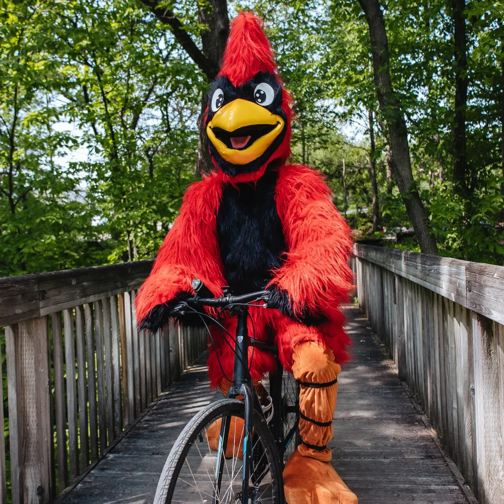 A cheerful cardinal mascot in a vibrant red and black costume rides a bike on a wooden bridge surrounded by greenery.