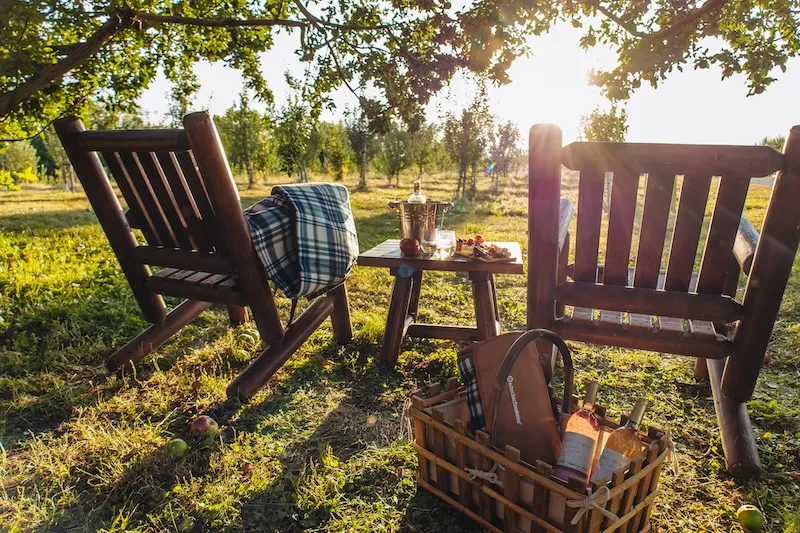 Two rustic wooden chairs with a plaid blanket, a table set with wine and snacks, and a picnic basket, all under a tree at sunset.