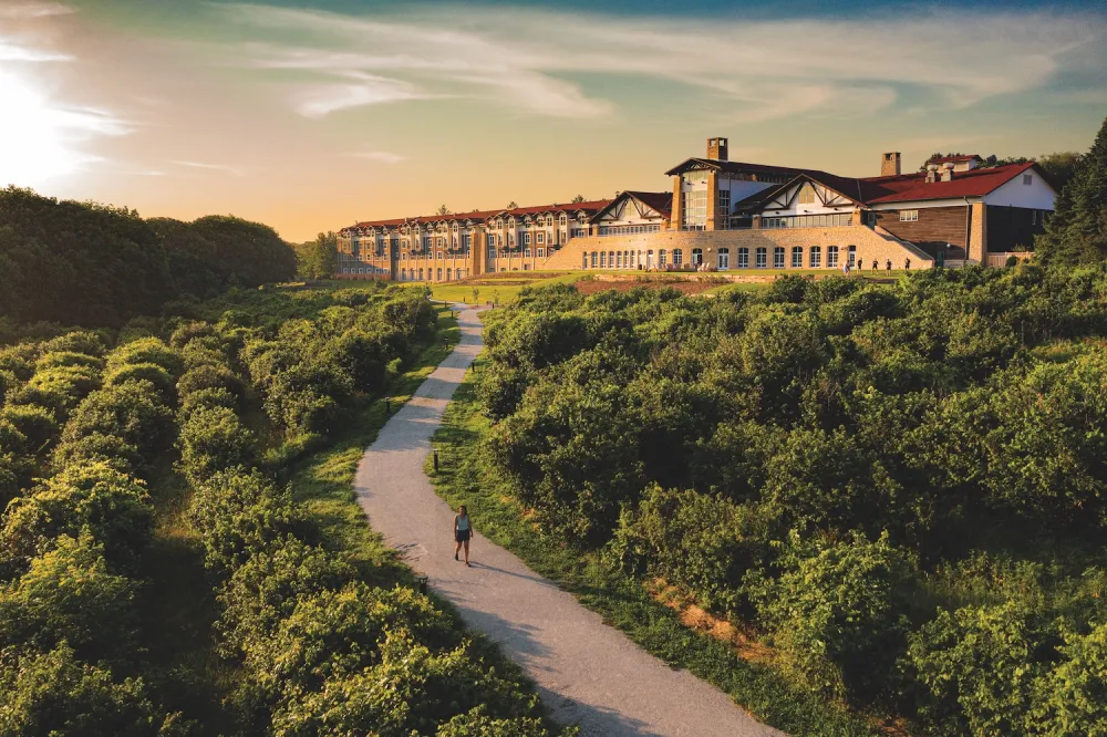 A scenic path winds through lush greenery leading to a modern building, illuminated by a warm sunset sky.
