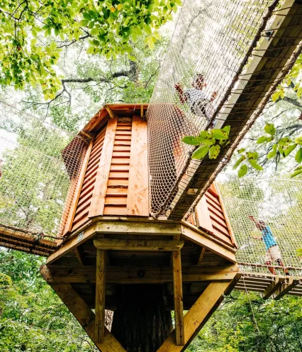 Children playing on the Tree Adventure attraction, surrounded by trees, at Arbor Day Farm.