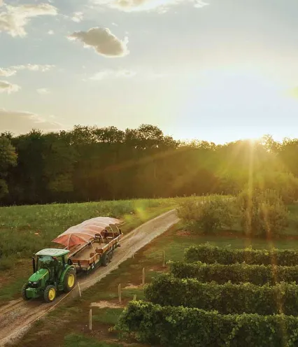 A tractor drives along a dirt road at sunset, flanked by trees in the background, showcasing a rural landscape.