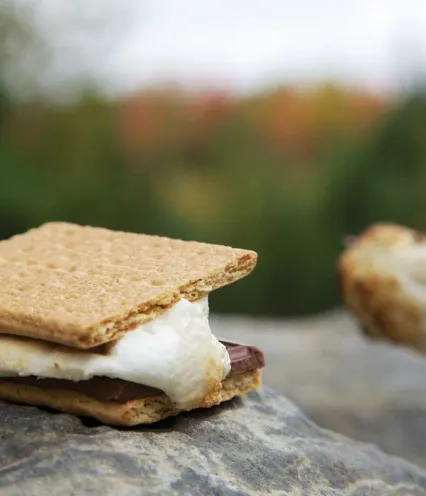 A s'mores treat resting on a rock, held by a stick, surrounded by natural outdoor scenery.