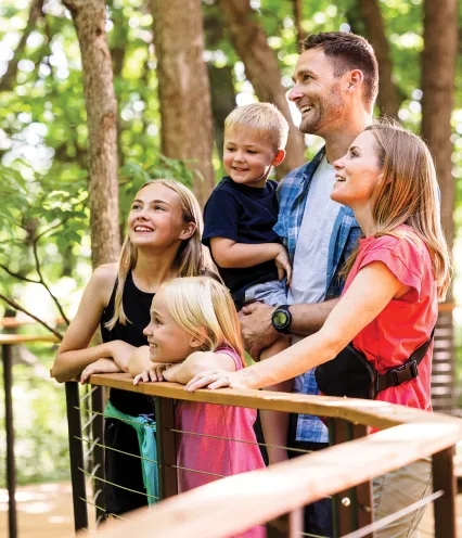 Family looking up at trees on walkway