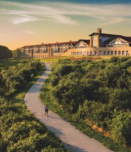 A scenic path winds through lush greenery leading to a modern building, illuminated by a warm sunset sky.