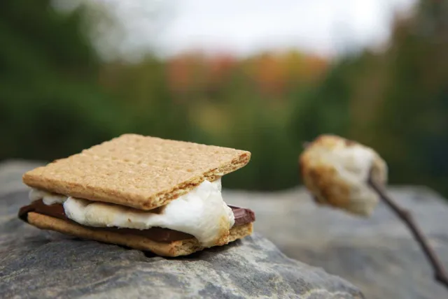 A s'mores treat resting on a rock, held by a stick, surrounded by natural outdoor scenery.
