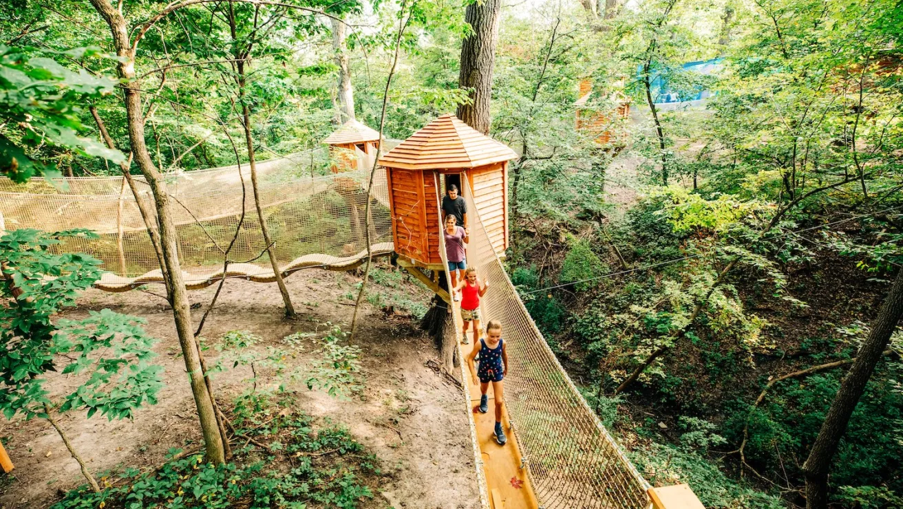 A wooden treehouse nestled among lush green trees, surrounded by nature and sunlight filtering through leaves.