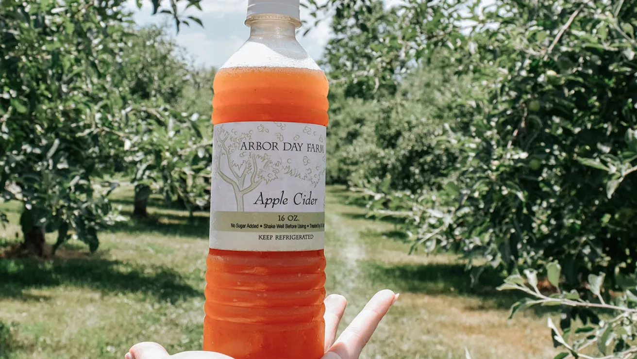 A hand holds a bottle of Arbor Day Farm apple cider, with a lush orchard in the background under a sunny sky.