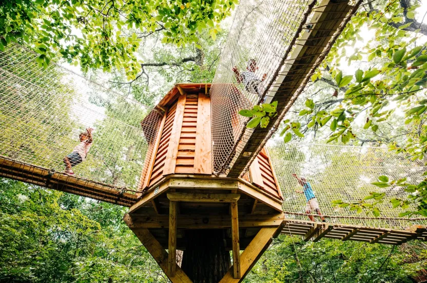 Children playing on the Tree Adventure attraction, surrounded by trees, at Arbor Day Farm.