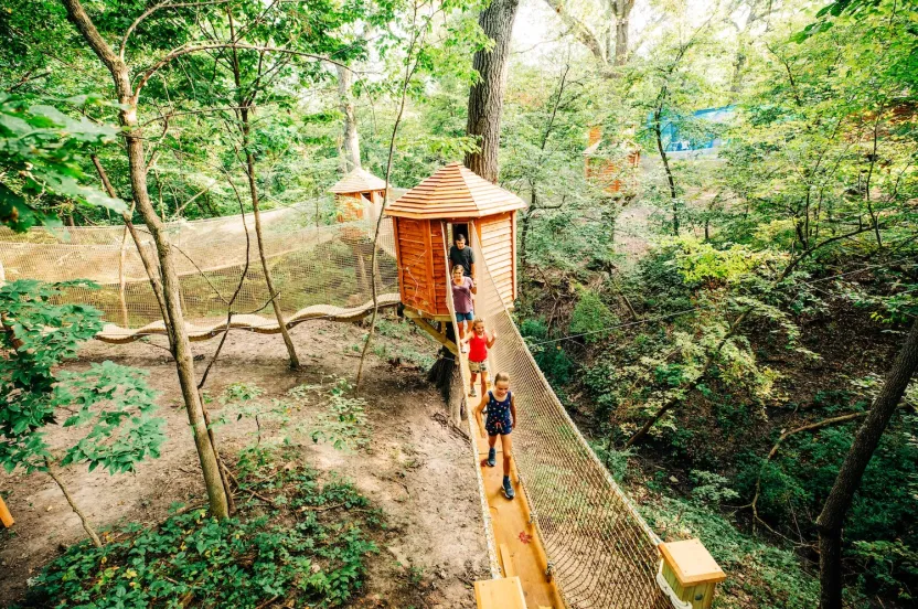 A wooden treehouse nestled among lush green trees, surrounded by nature and sunlight filtering through leaves.