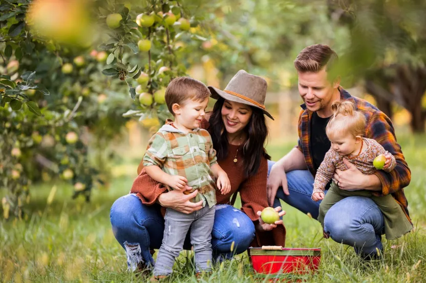 A family with two young children enjoys apple picking in an orchard, surrounded by green trees and ripe apples.