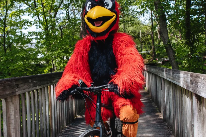 A cheerful cardinal mascot in a vibrant red and black costume rides a bike on a wooden bridge surrounded by greenery.