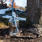 A clear glass jug with a blue tube rests beside the base of a tree, surrounded by grass and remnants of snow.
